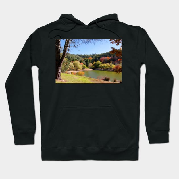 Autumn by the lake Hoodie by jwwallace